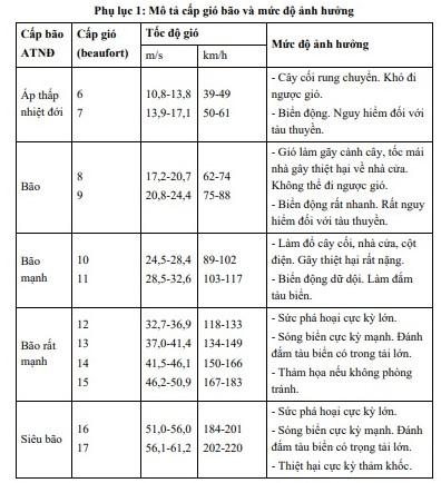 Công điện số 173/CĐ-TTg: Thủ tướng chỉ đạo ứng phó Bão số 10 (Bão Bualoi) với tinh thần quyết liệt nhất- Ảnh 1.